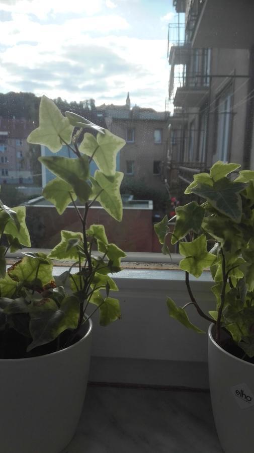 Appartamento Lucka Ústí nad Labem Esterno foto