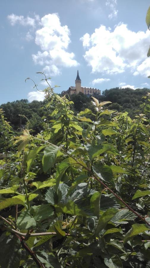 Appartamento Lucka Ústí nad Labem Esterno foto